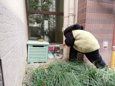 ​又到了“一叫一整晚”的季节，有人因此睡不好觉！这个小区却近3年都没接到投