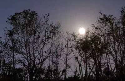 ​韩国总统的宿命