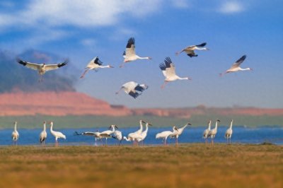 ​中国十大淡水湖，个个婀娜多姿，一定要去多看看