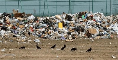 ​鸟界屠夫：益鸟的真相揭秘！