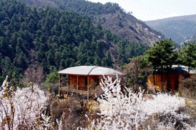 ​现实版三生三世十里桃林？原来是这里：太原桃花沟