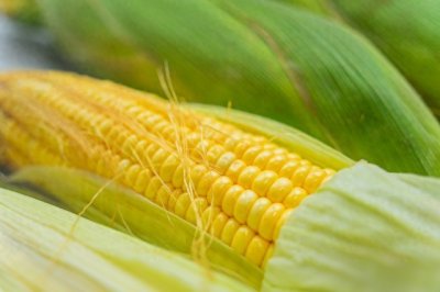 ​你知道韩国棒子，这个称号是怎么来的吗？