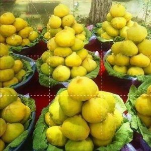 ​新疆水果 无花果