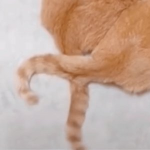 ​上手率超高的网红风美甲！是那味了