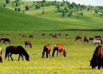 ​十大适合国庆的旅游景点，十月份去哪玩比较好