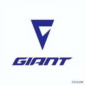 ​十大运动自行车国际品牌排行榜