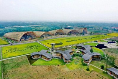 ​大揭秘！原来新津才是踏秋氛围感天花板 （建议收藏）