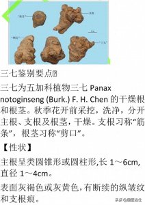 ​30种不同「三七」，真伪优劣，高清大图对比！很难得，建议收藏