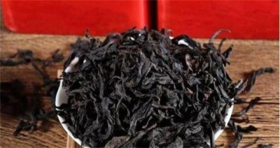 ​大红袍母树：一棵树一斤“树叶”价值500万