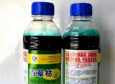 ​百草枯：被喝到停产的农药，其实早有解药，只因3个原因无人生产