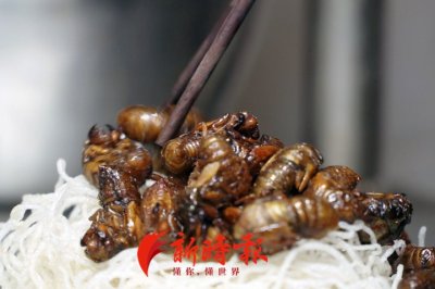 ​金蝉、蚂蚱能吃了吗？网传“禁食令”解除，权威部门：系误读