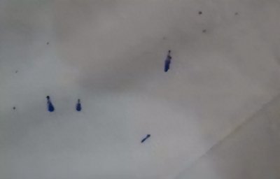 ​【黑色墨水怎么洗掉】怎样洗掉黑墨水 衣物上墨水的洗涤方法