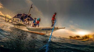 ​神秘的“沙丁鱼风暴”是如何形成的？全球只有两个国家才能看到