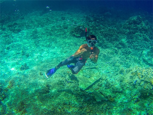 神秘的“沙丁鱼风暴”是如何形成的？全球只有两个国家才能看到