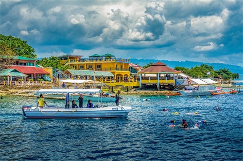 神秘的“沙丁鱼风暴”是如何形成的？全球只有两个国家才能看到