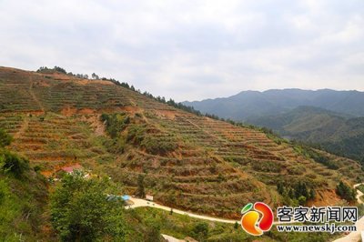 ​兴国县创业致富带头人黄春明的共富梦