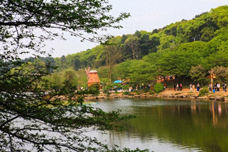 天然的大氧吧，湖南省森林植物园，也叫长沙植物园