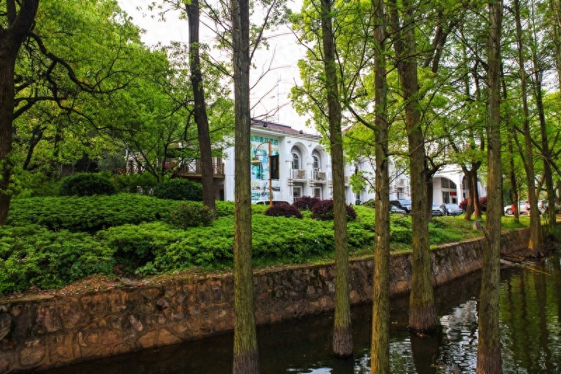 天然的大氧吧，湖南省森林植物园，也叫长沙植物园
