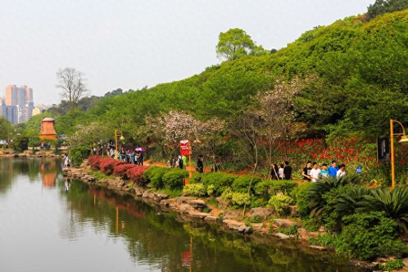 天然的大氧吧，湖南省森林植物园，也叫长沙植物园