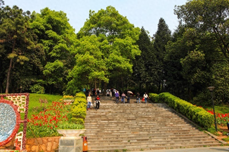 天然的大氧吧，湖南省森林植物园，也叫长沙植物园