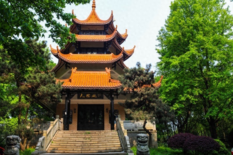 天然的大氧吧，湖南省森林植物园，也叫长沙植物园