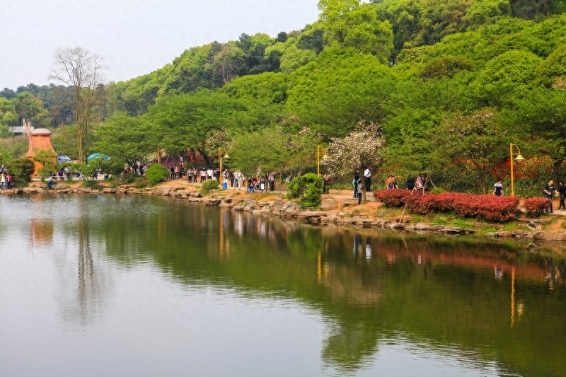 天然的大氧吧，湖南省森林植物园，也叫长沙植物园