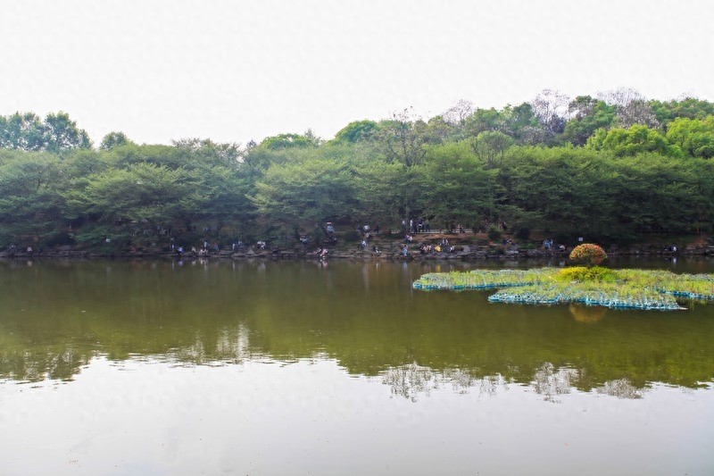 天然的大氧吧，湖南省森林植物园，也叫长沙植物园