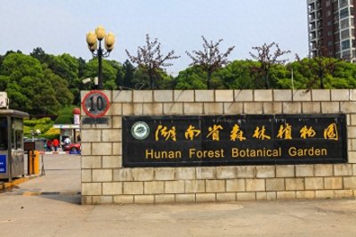 ​天然的大氧吧，湖南省森林植物园，也叫长沙植物园