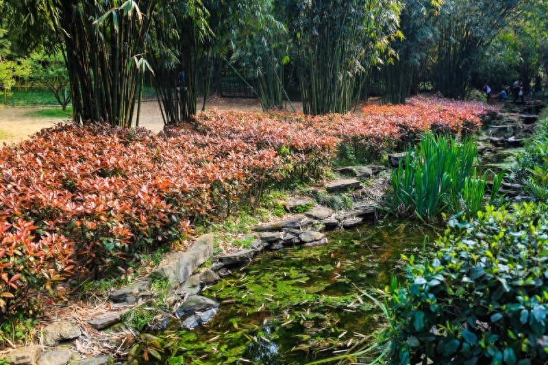 天然的大氧吧，湖南省森林植物园，也叫长沙植物园