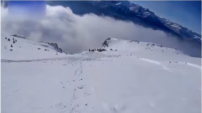 ​陈词滥调：雪崩时，没有一片雪花是无辜的