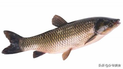 ​四川20年厨师长教你酸菜鱼正宗做法，酸辣爽口鱼片Q弹，汤都不剩