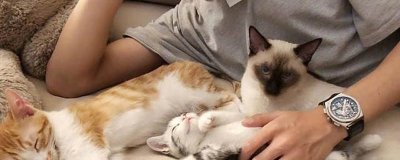 ​易烊千玺的猫叫什么名字