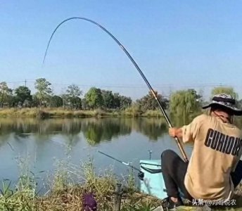 ​“泥鳅钓鱼”为啥会被禁止？其危害有多大？说出来你可能不信