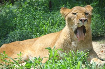 ​长春一新公园“未开先火”，总投资5.27亿元，规划占地约150公顷