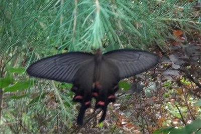 ​怎么经营婚姻