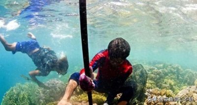 ​世界唯一没有国籍的民族，一生只能待在海里，身体发生了“进化”