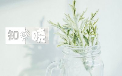 ​知晓 | 20~28℃，雨！下月起，北京困难失业人员可申领3000元补助！下半年油价