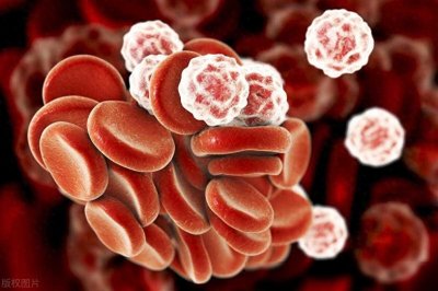 ​15个令人胆寒的科学事实：揭示我们未知世界中的真相！