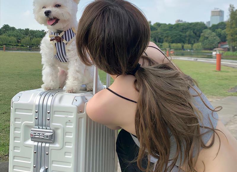 雪花银是纯银吗（雪花银到底是什么鬼）