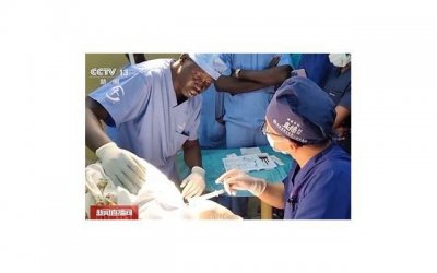 ​爱情专家介绍：十二生肖最佳婚配表，你和TA是否天生一对？