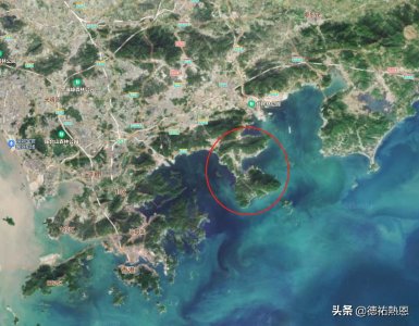 ​深圳大鹏，逆袭展翅