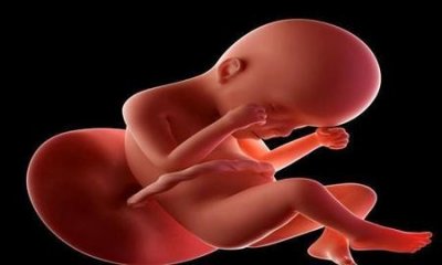 ​分娩时间过长孩子会不会有影响(产程过长对胎儿的影响)