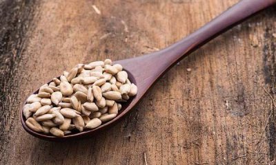 ​吃葵花籽的好处与功效（吃了这么多年的葵花籽，今天才了解它还有这些功效？）