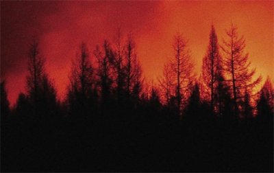 ​大兴安岭5.6特大火灾：5小时大火狂飙100多公里，损失达69亿元