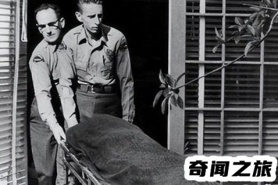 ​玛丽莲梦露之死上世纪最大的谜案(官方断定为自杀)