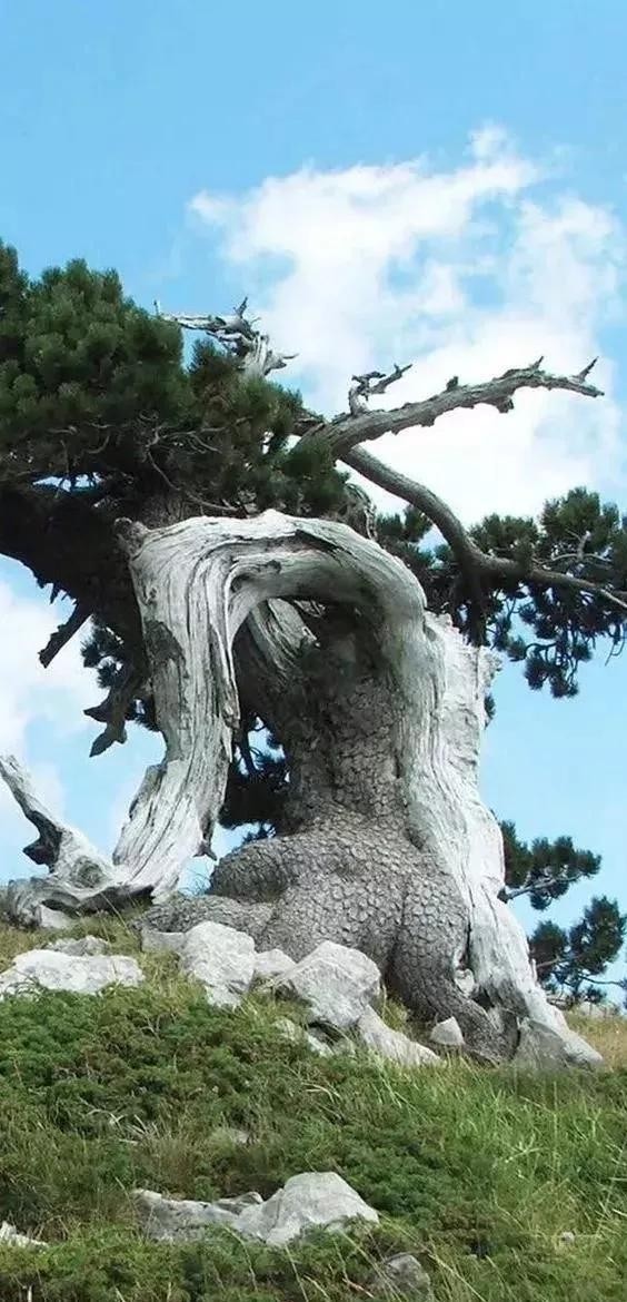 全世界十大自然景观（80幅世界各地景观）(48)