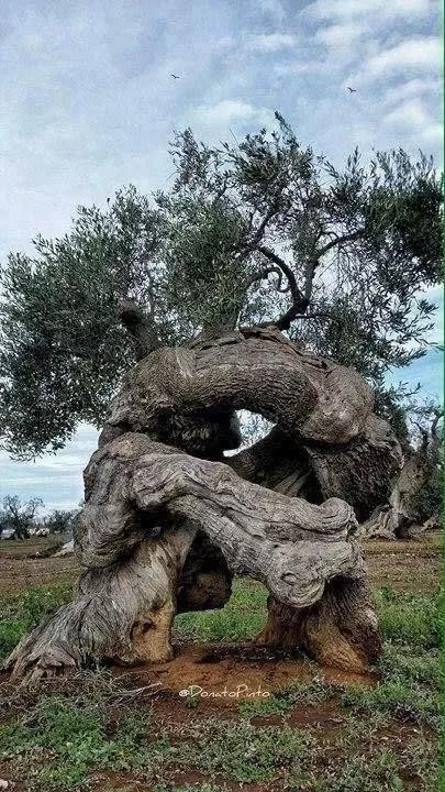 全世界十大自然景观（80幅世界各地景观）(19)