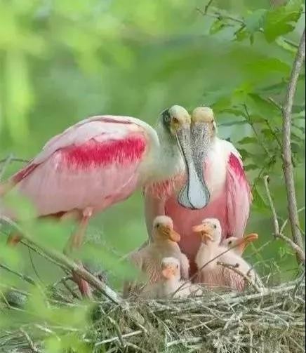 全世界十大自然景观（80幅世界各地景观）(44)