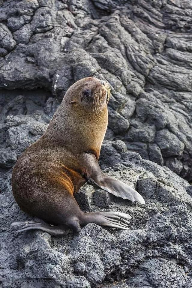全世界十大自然景观（80幅世界各地景观）(24)
