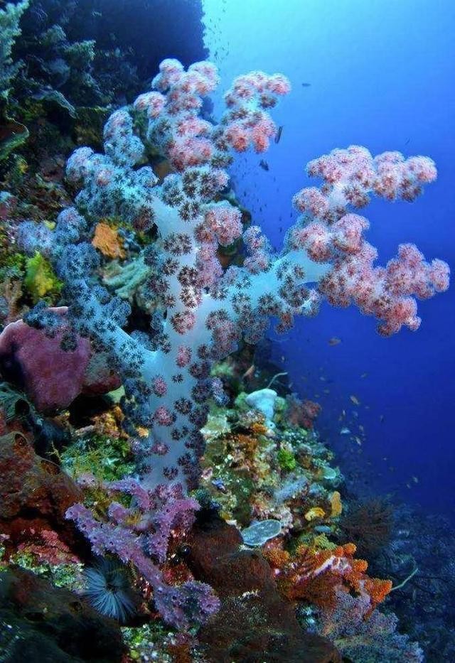 全世界十大自然景观（80幅世界各地景观）(17)